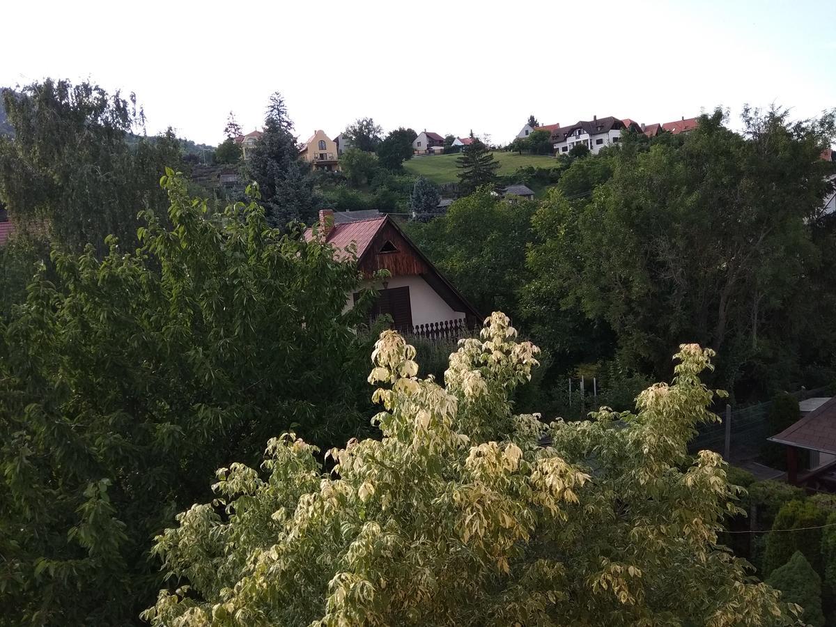 Anna Ilona Vendégház Badacsonytomaj Exterior foto
