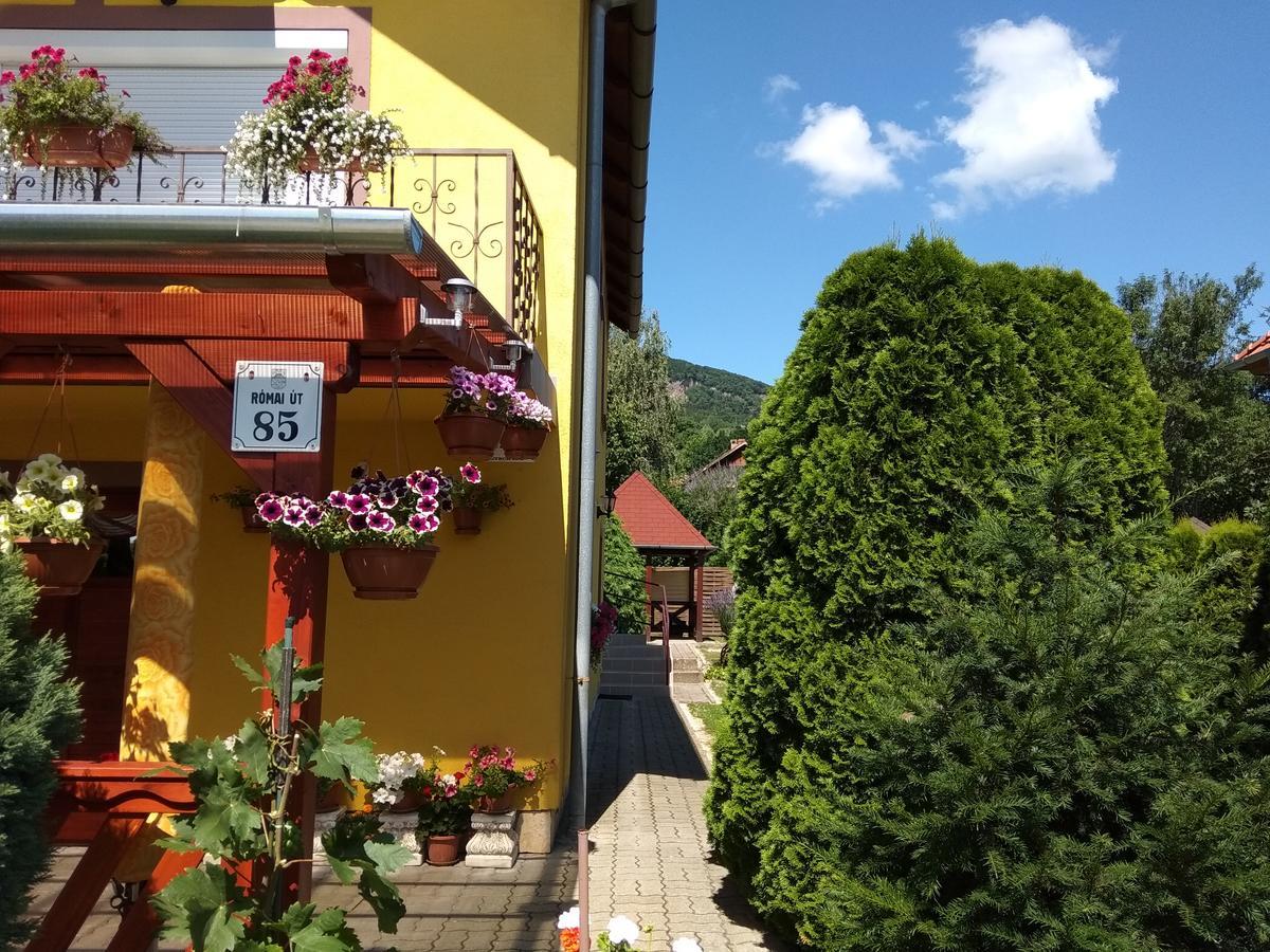 Anna Ilona Vendégház Badacsonytomaj Exterior foto
